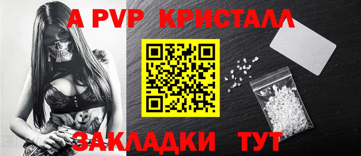 Альфа ПВП СК КРИС Кондопога