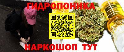 МДПВ Будённовск