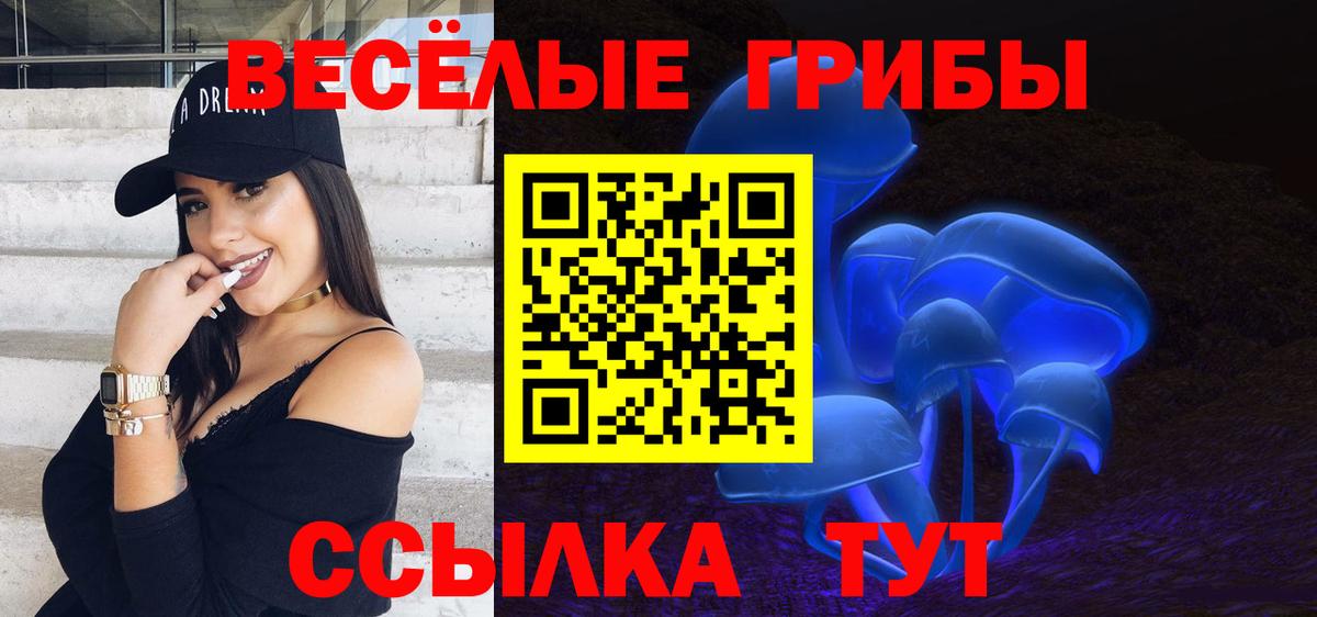 Кондопога  Псилоцибиновые грибы MAGIC MUSHROOMS  Вход с VPN  купить наркотики сайты  Галлюциногенные грибы MAGIC MUSHROOMS 